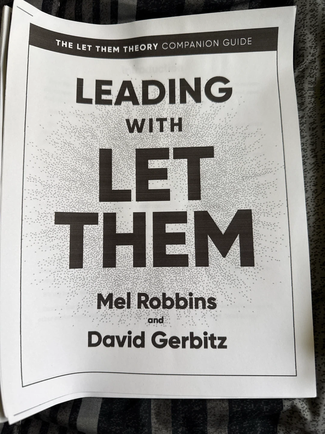 Let them Theory by Mel Robbins - plus companion guides - photo 4
