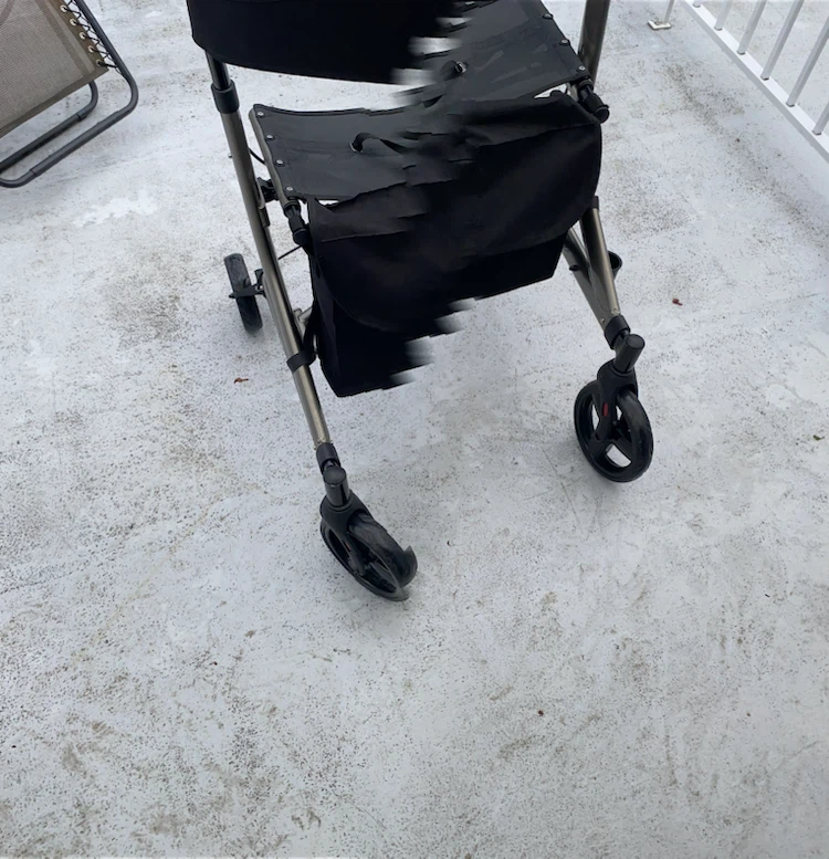 MINT Carex Folding Walker with Bag