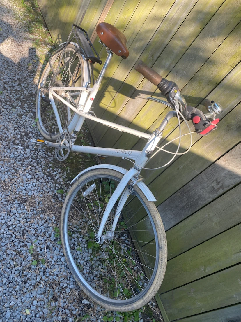 Norco Cityglide Women's Cruiser Bike - 7 Speed - White - photo 5
