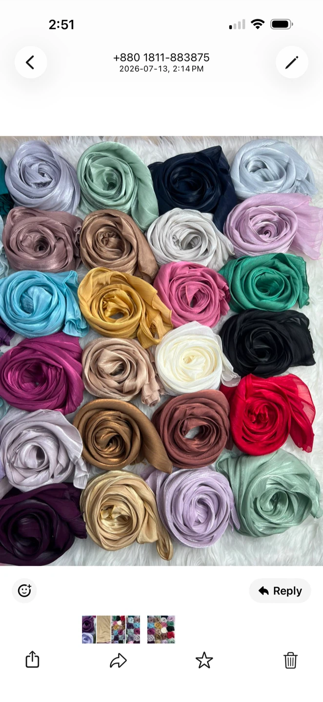 Premium Muna Silk Hijabs - photo 4