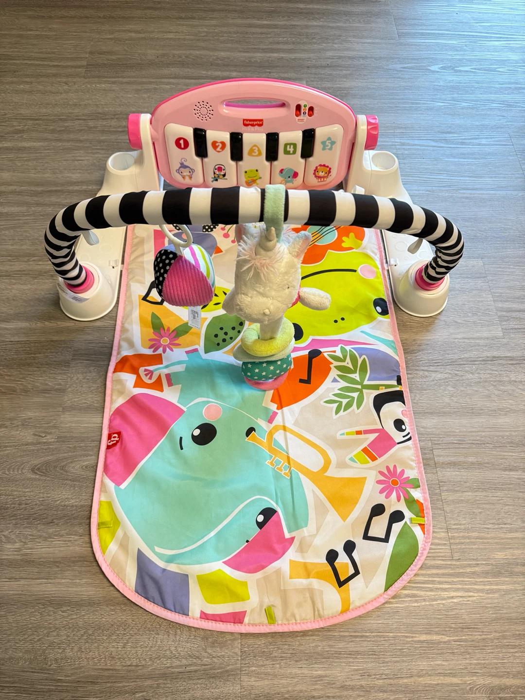 Fisher-Price Play and Grow Baby Gym