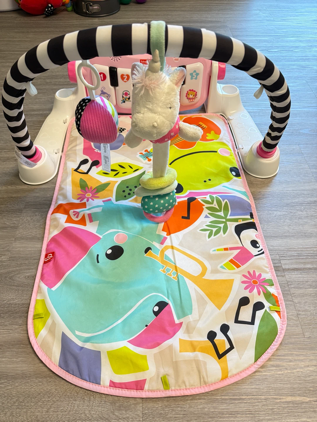 Fisher-Price Play and Grow Baby Gym - photo 2
