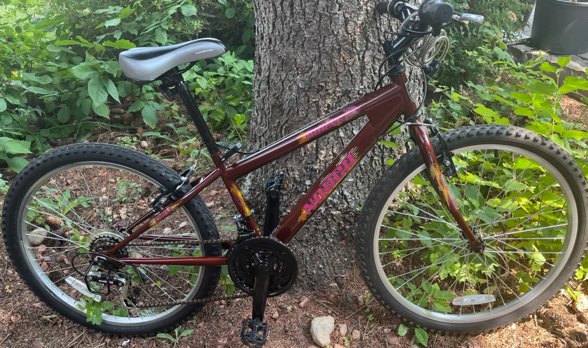 Norco Mountain Bike - wheel size 24