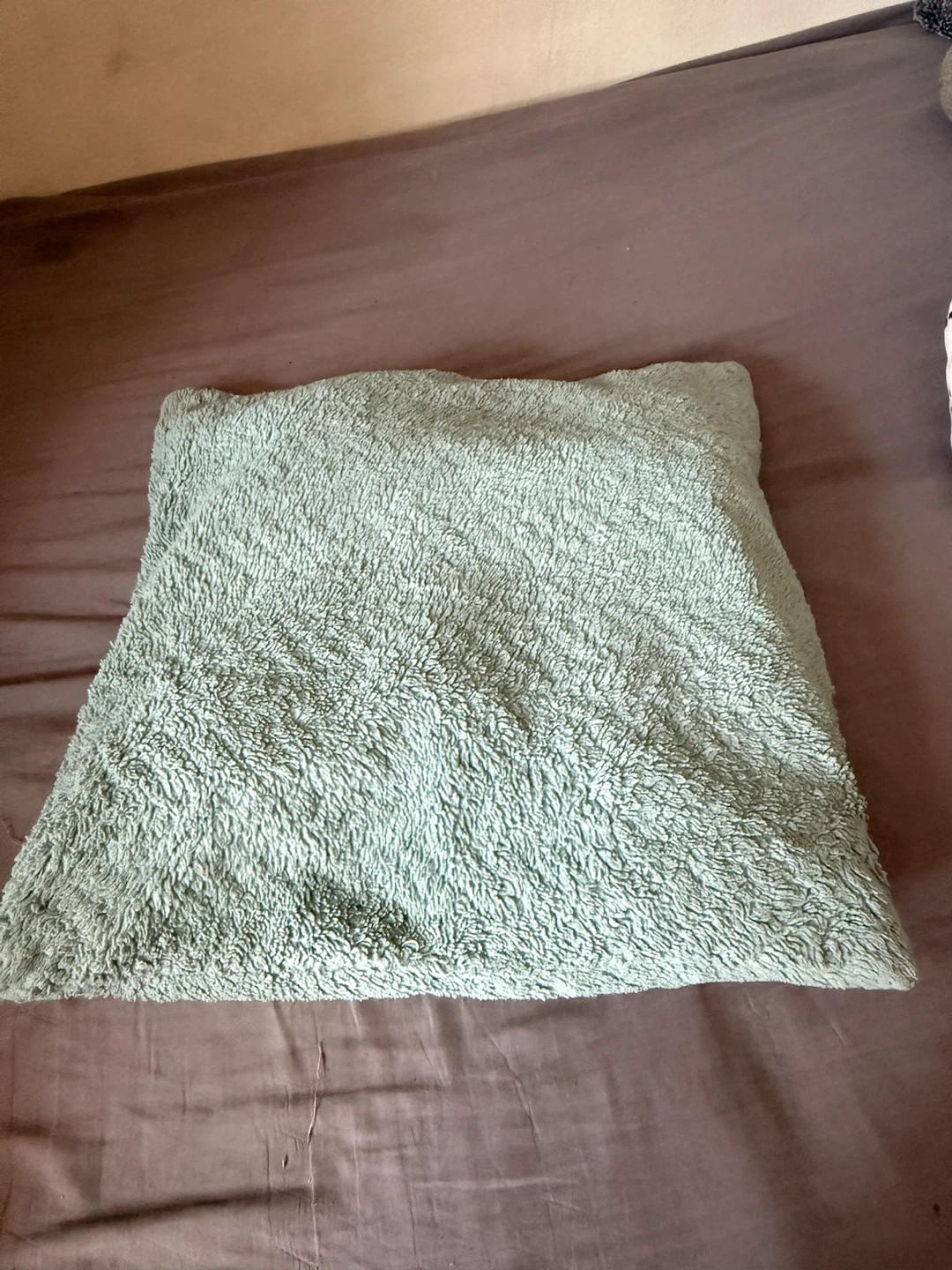 Light Blue Fuzzy Pillow