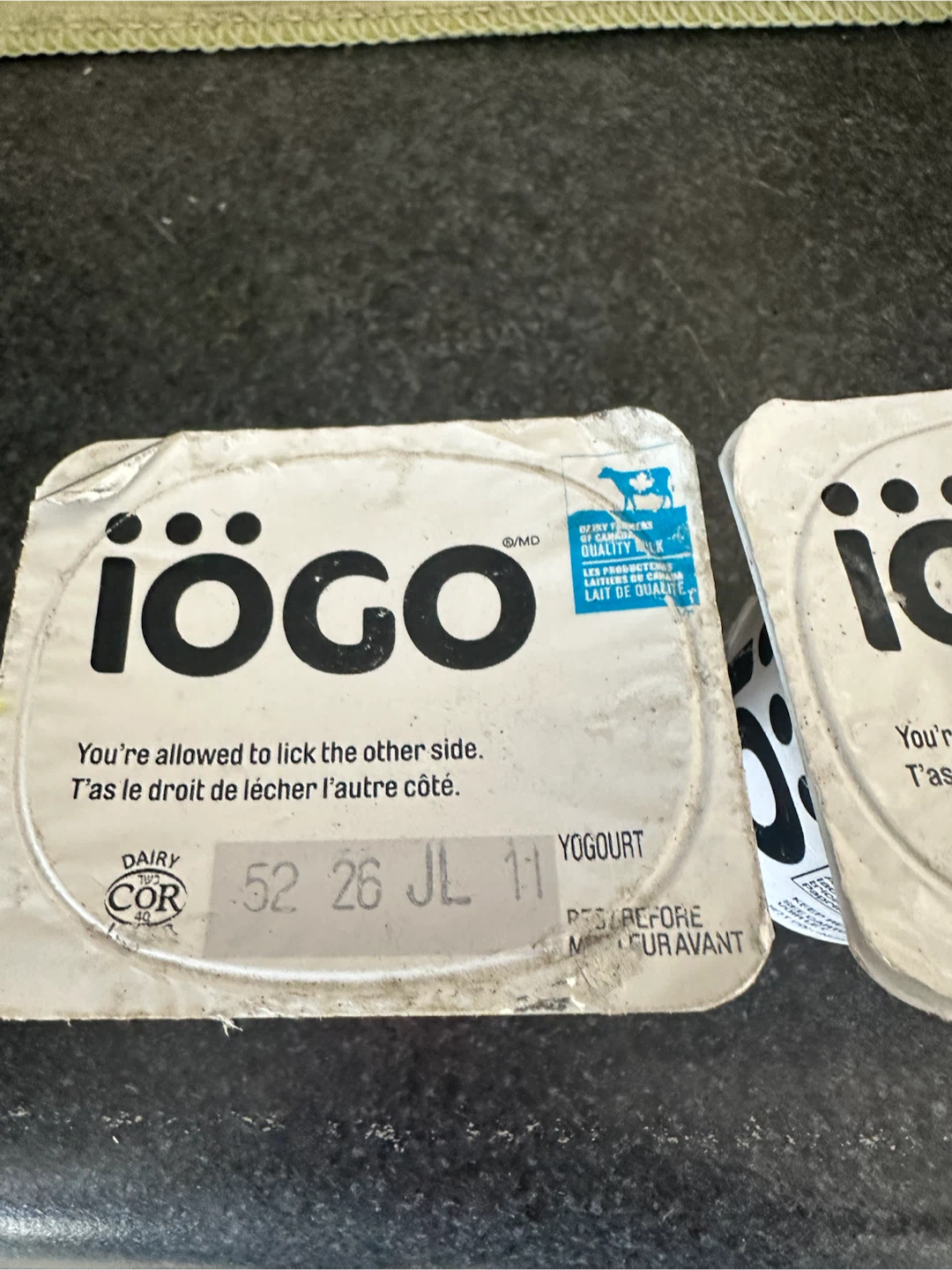 Iogo Yougart - photo 3