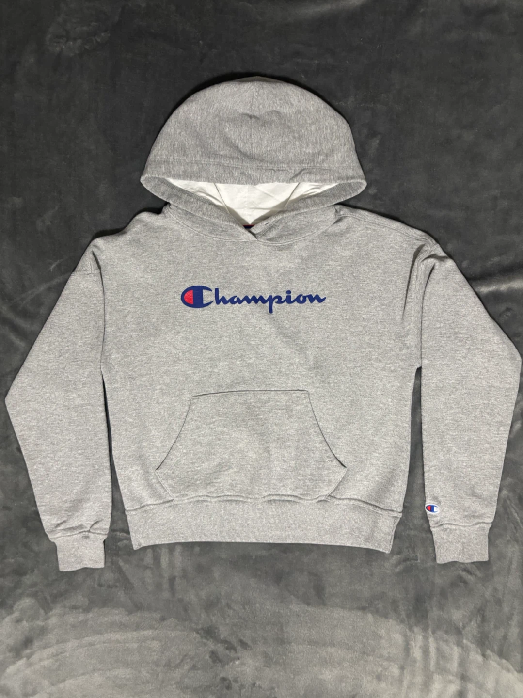 Champion Hoodie Mens Sweatshirt Fleece Classic