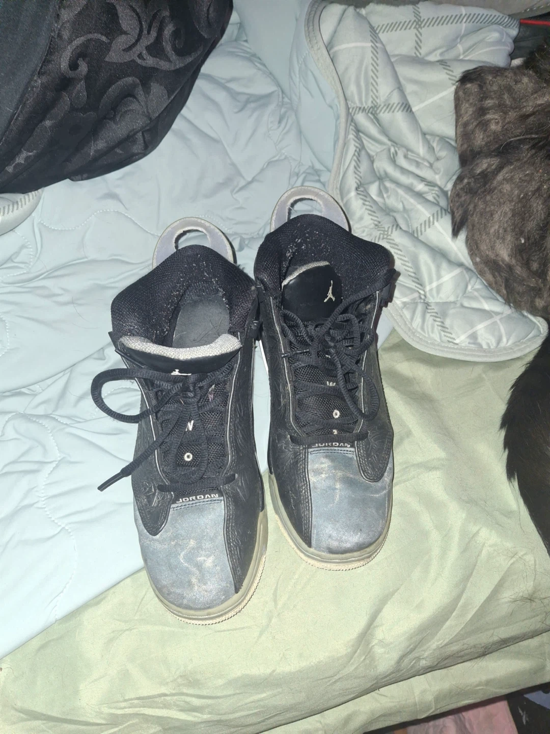 Nike Air jordan’s Dub zero