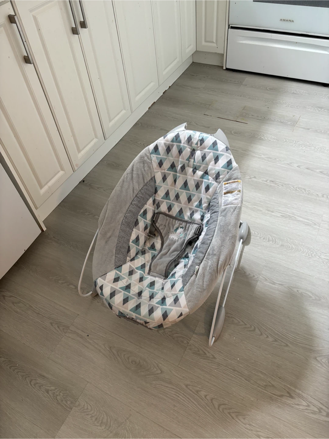 Baby Rocker/Bouncer