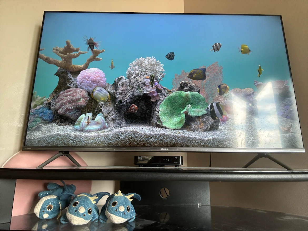 55 inch Philips Roku smart TV