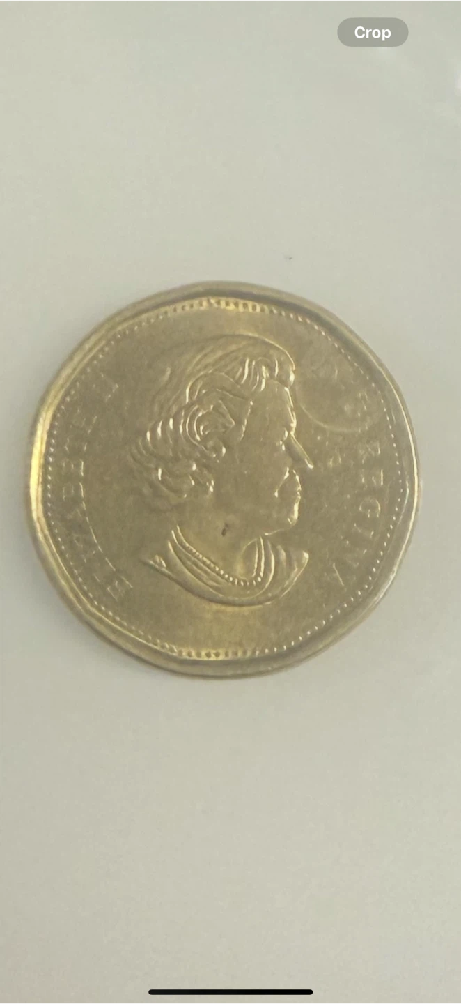 Canadian $1 Dollar Coin - photo 2