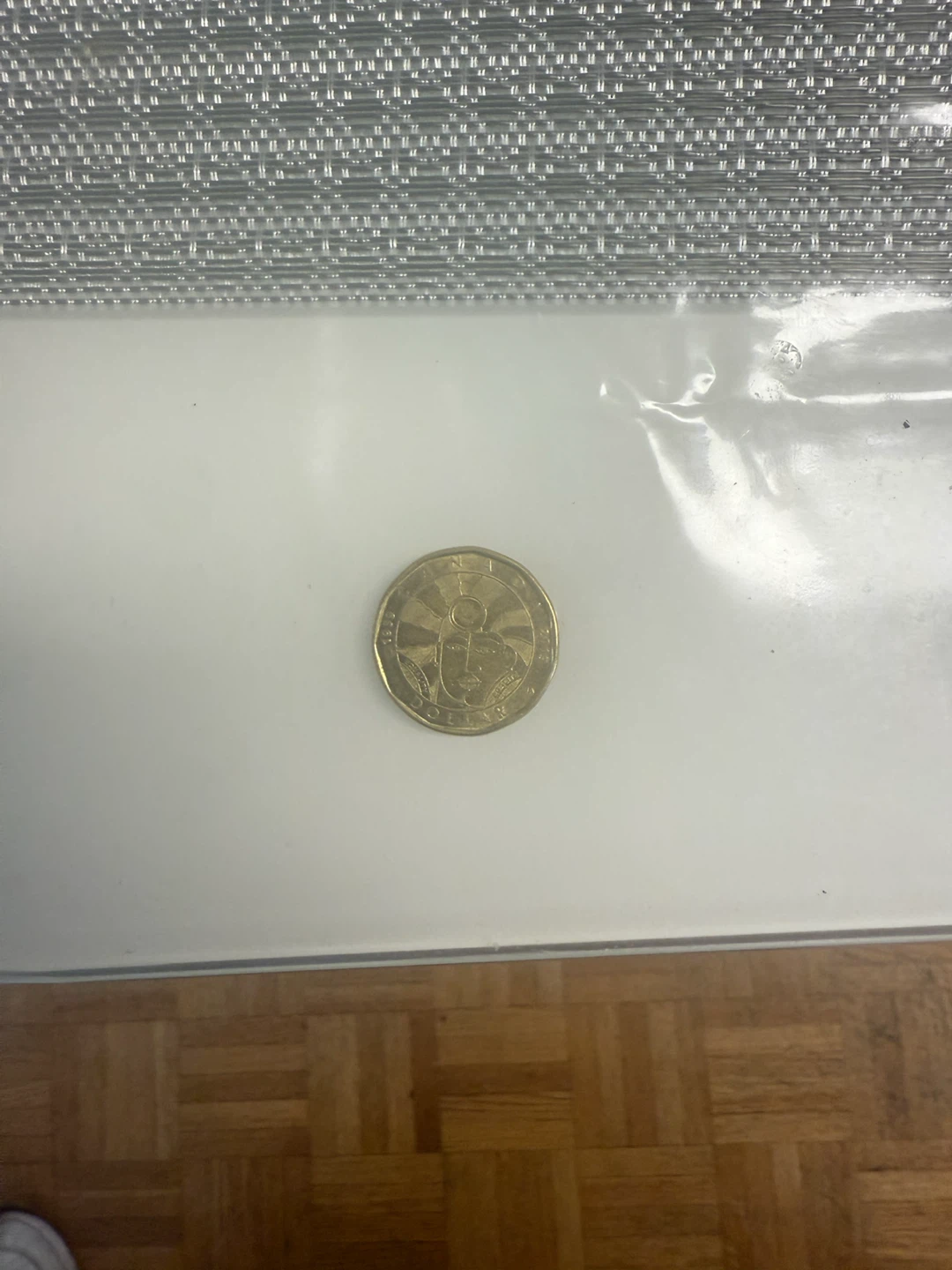 Canadian $1 Dollar Coin - photo 3