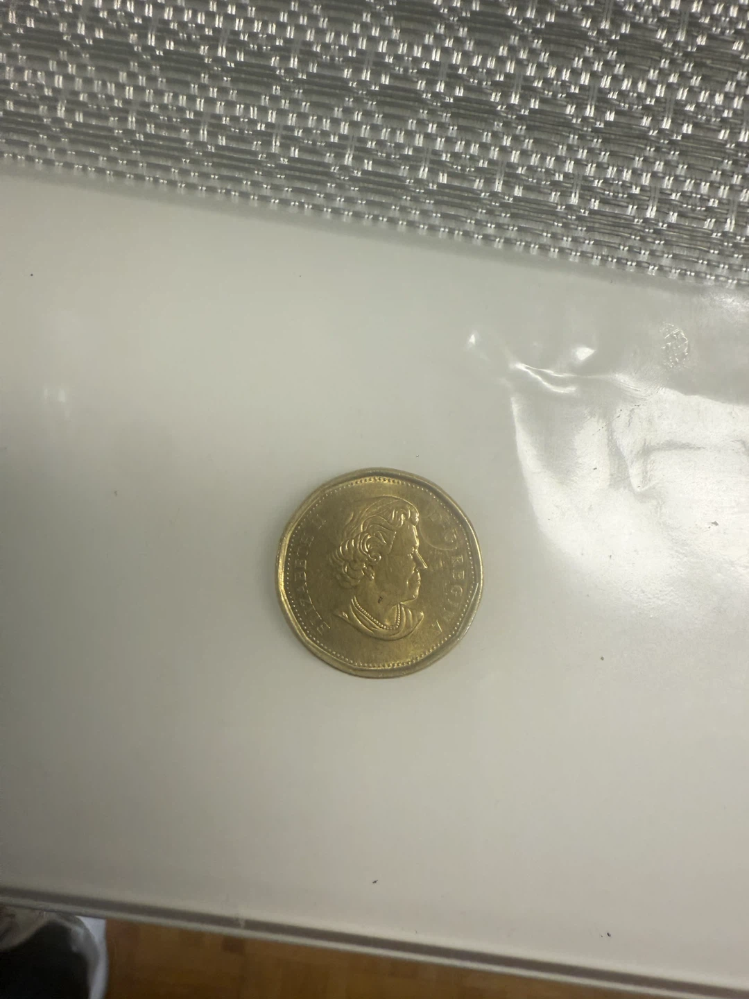 Canadian $1 Dollar Coin - photo 4