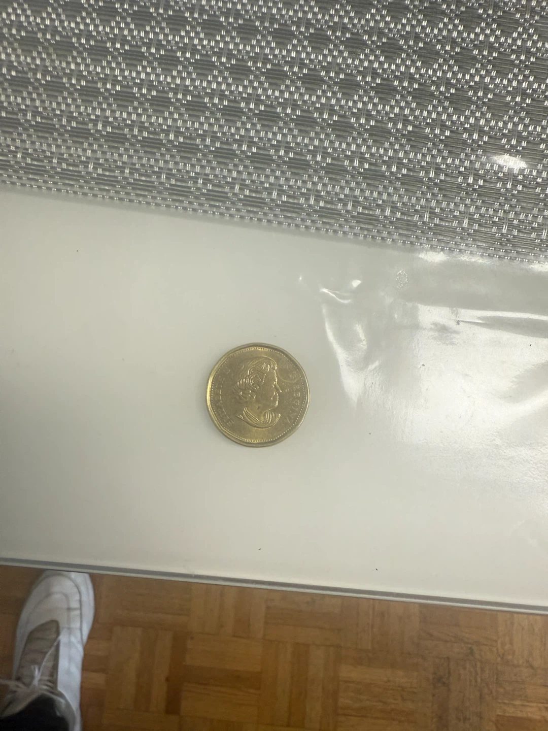 Canadian $1 Dollar Coin - photo 5