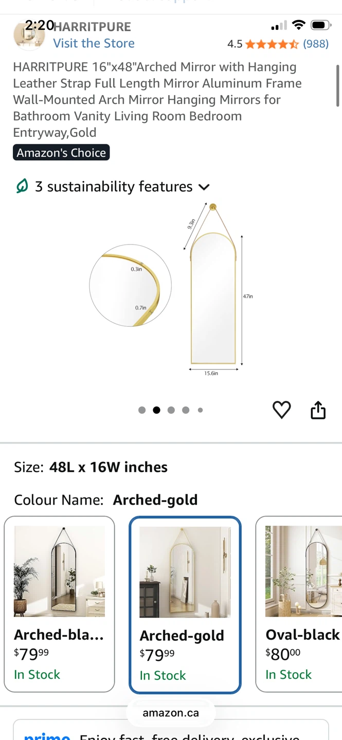 Arched Mirror with Hanging Strap