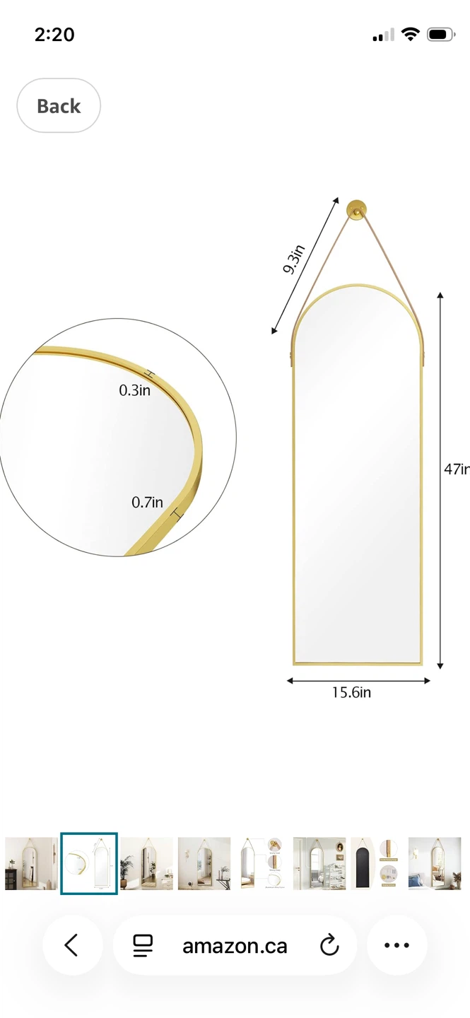 Arched Mirror with Hanging Strap - photo 2