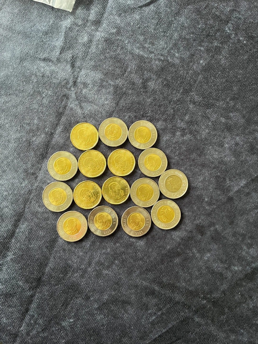 Colourful  Canadian Loonies and Toonies - photo 2