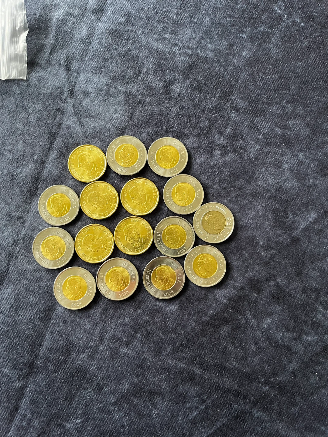 Colourful  Canadian Loonies and Toonies - photo 4