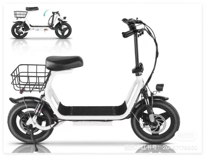Electric Scooter - 750W Motor, 48V Battery