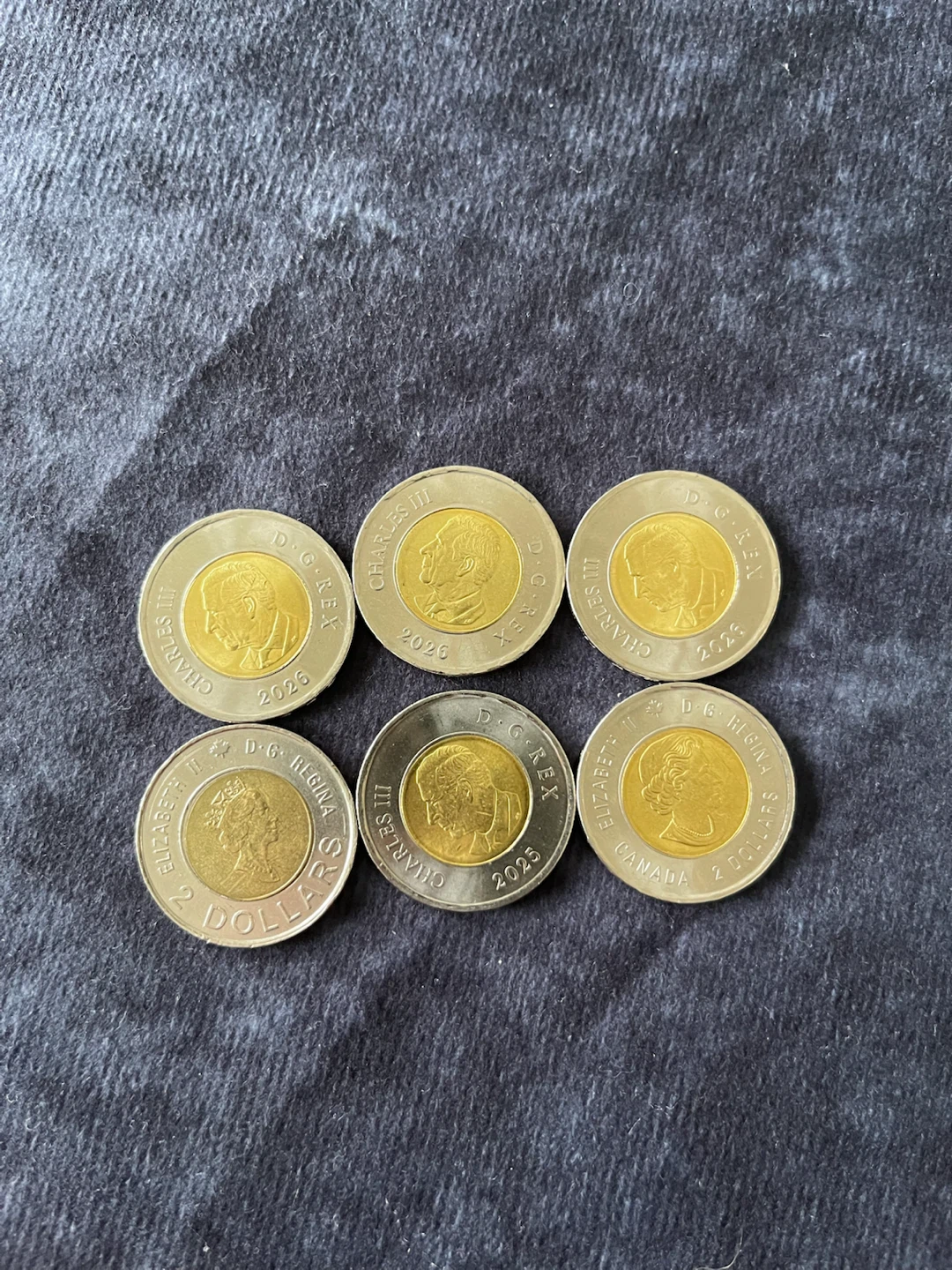 Canadian Toonie Coins - Variety Pack - photo 4
