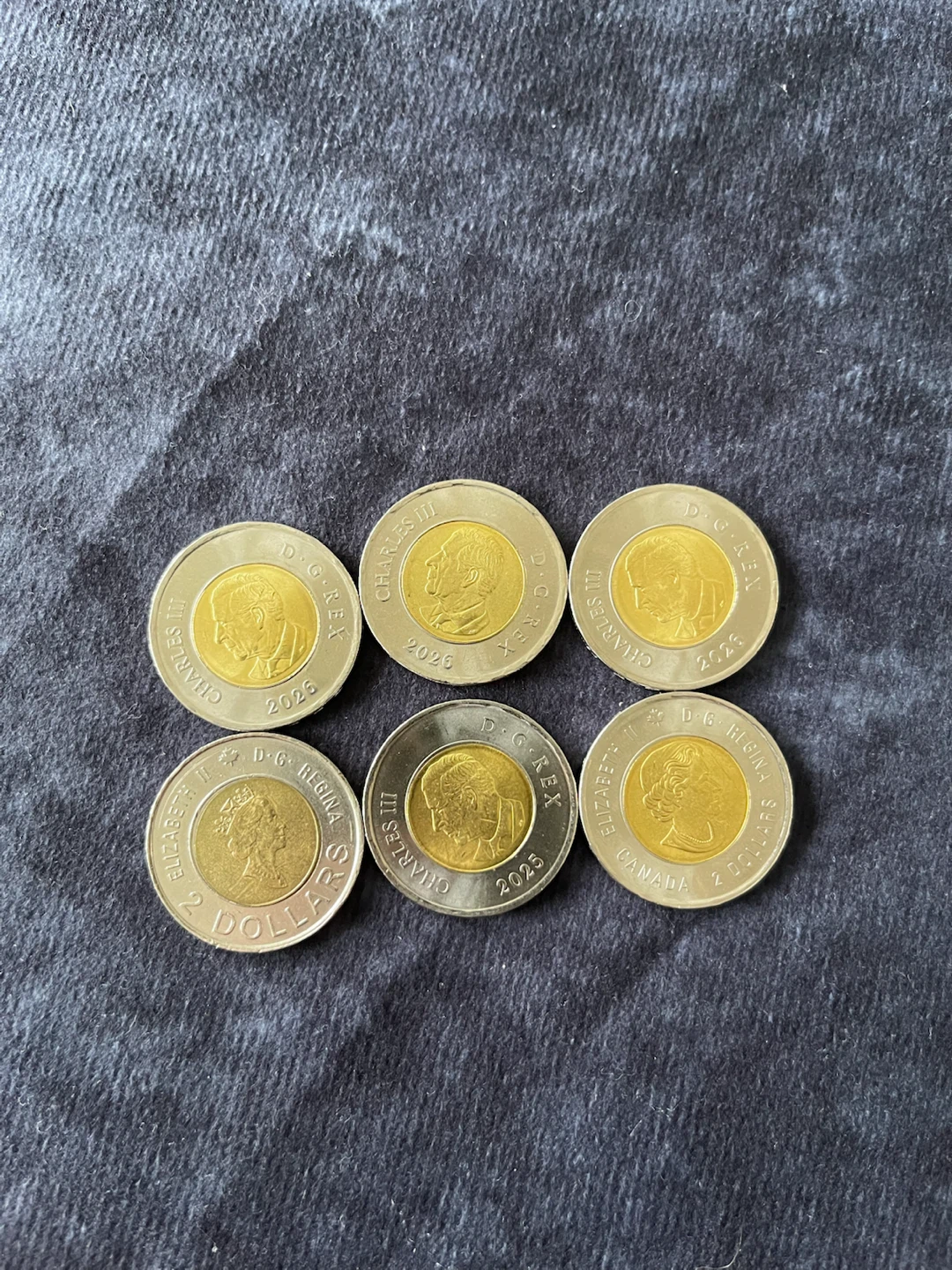 Canadian Toonie Coins - Variety Pack - photo 5