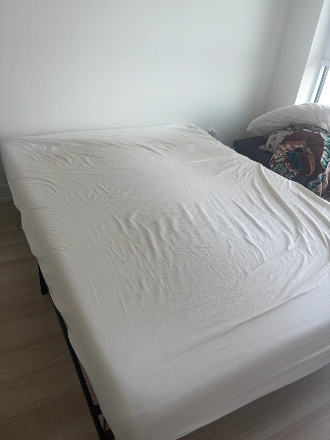Metal Bed Frame + mattress