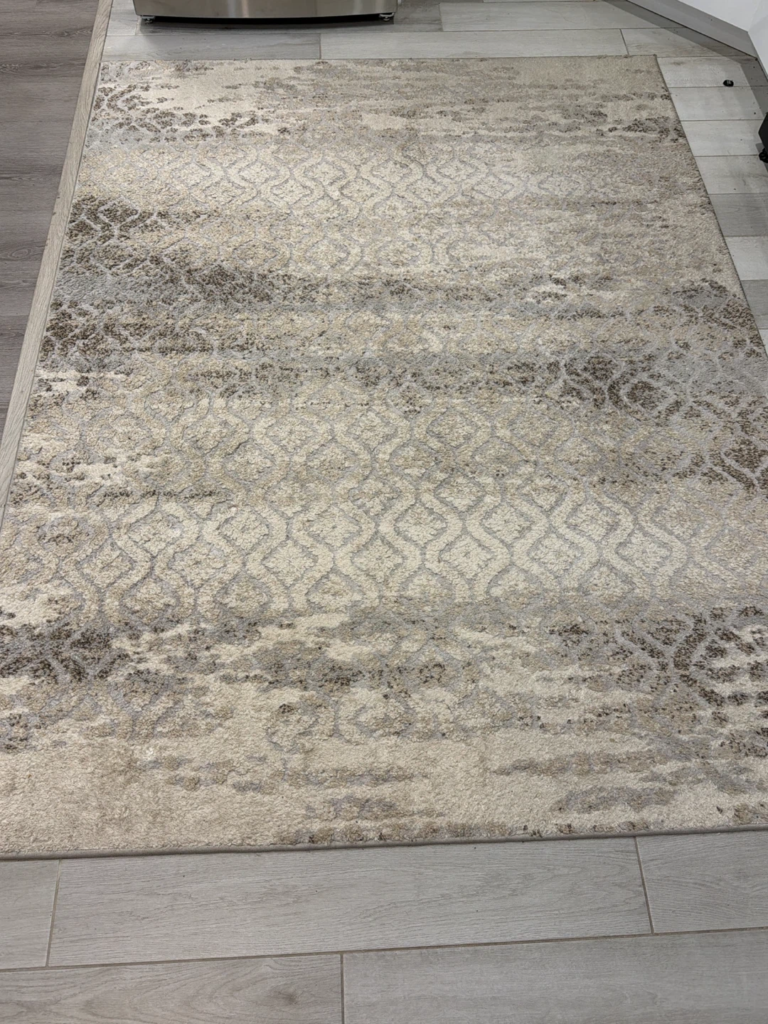 Area Rug - photo 2