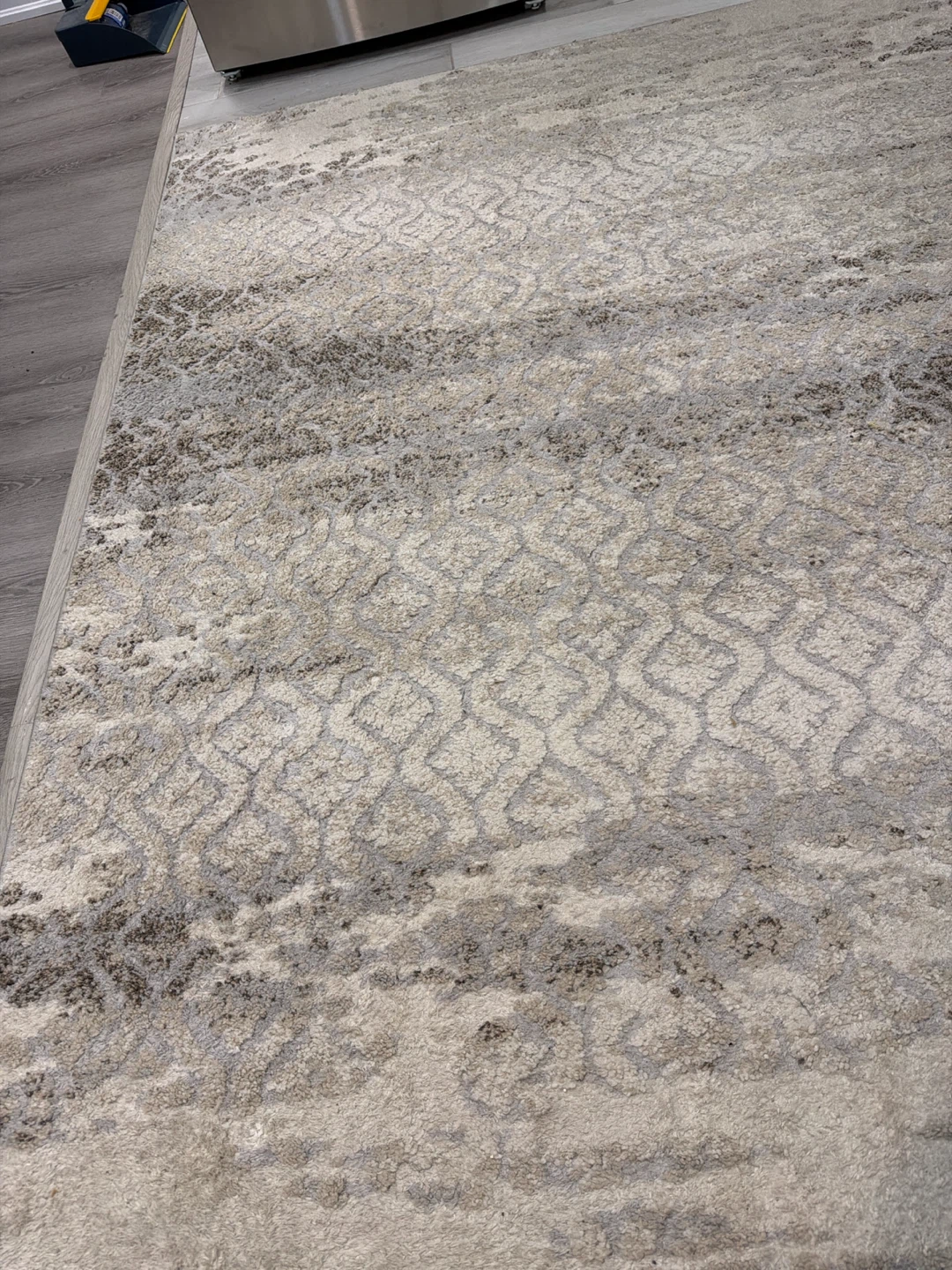 Area Rug - photo 3