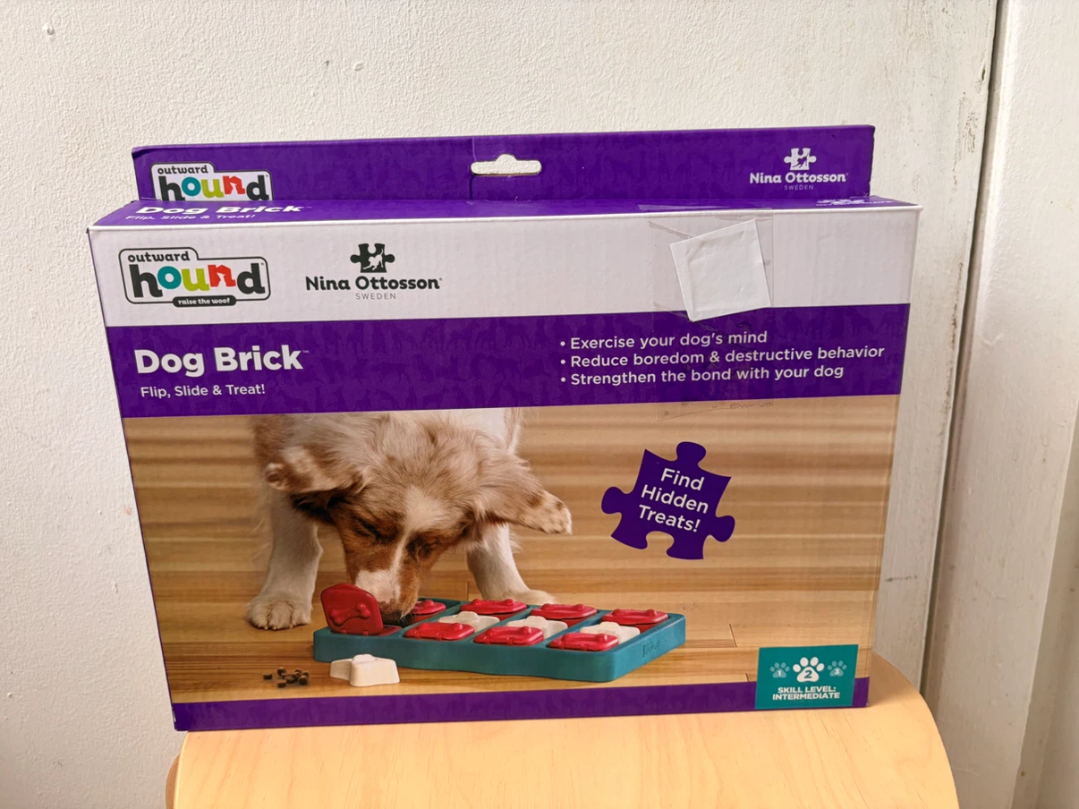 New dog brick