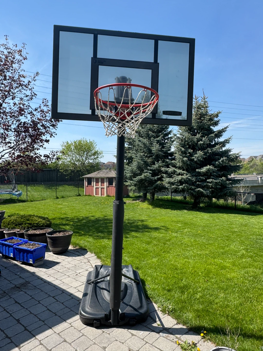 Lifetime Portable Basketball Hoop