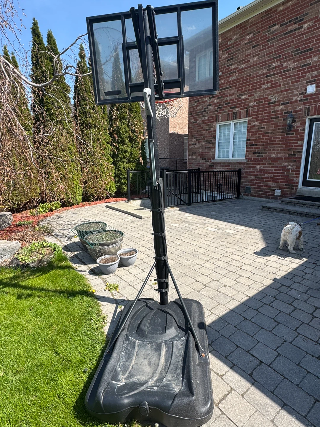 Lifetime Portable Basketball Hoop - photo 2