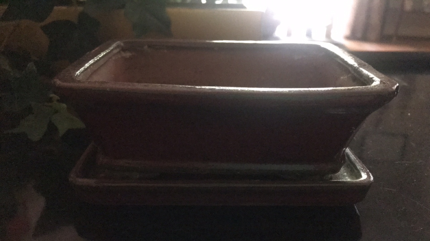 Ceramic Bonsai Pot with Saucer