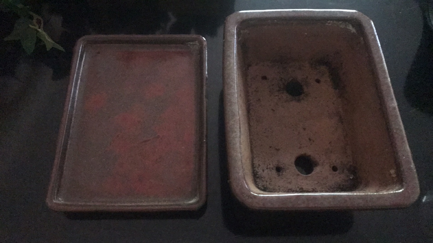 Ceramic Bonsai Pot with Saucer - photo 2