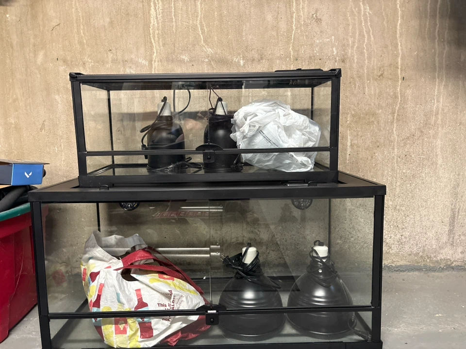 Glass Terrarium Tank