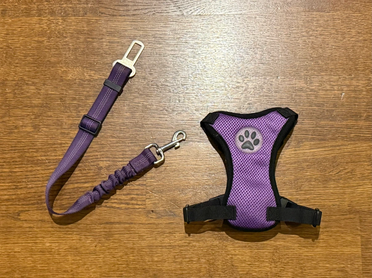 Purple Dog Harness and Seatbelt Set