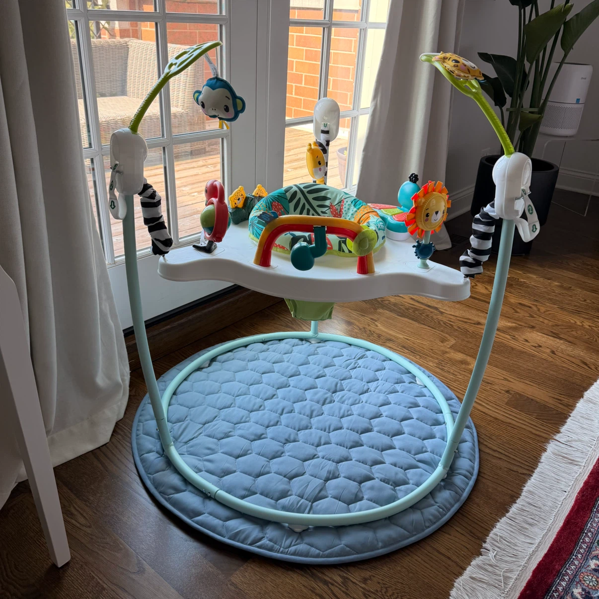Fisher-Price Jumperoo Baby Activity Center