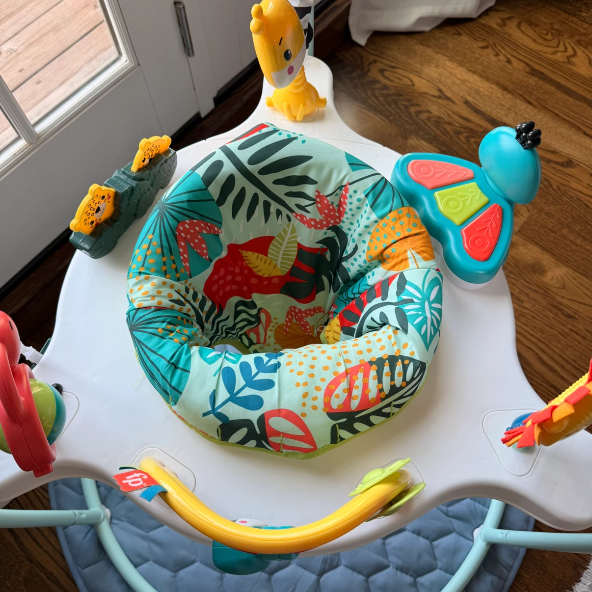 Fisher-Price Jumperoo Baby Activity Center - photo 3