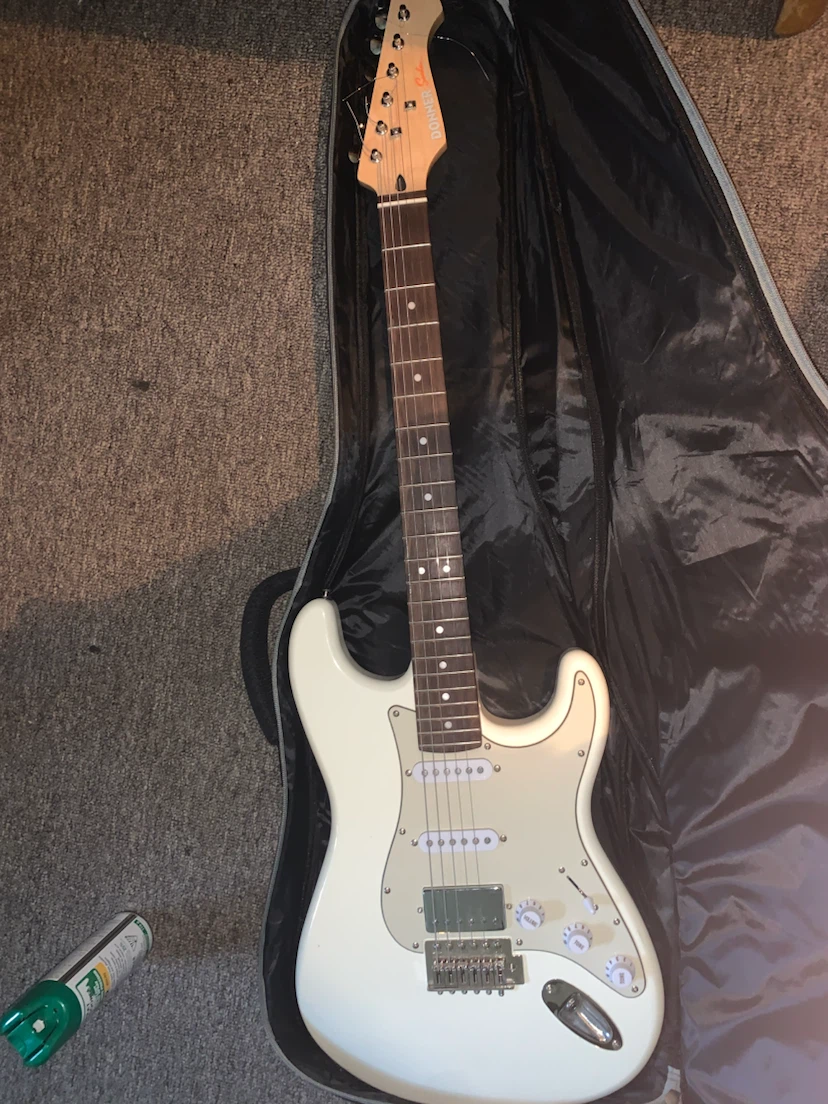 Donner Electric Guitar with Gig Bag