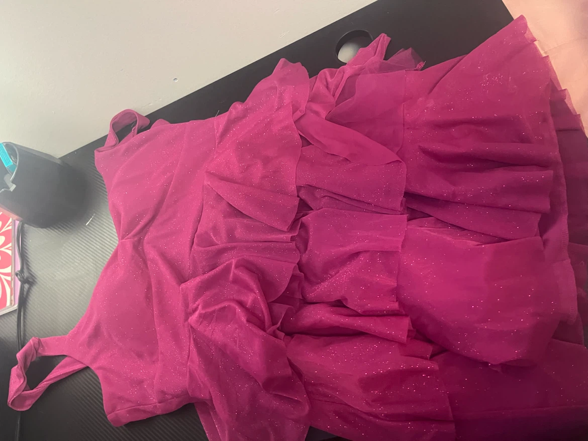 Crystal Doll Pink Sparkly Ruffled Dress XXL - photo 3