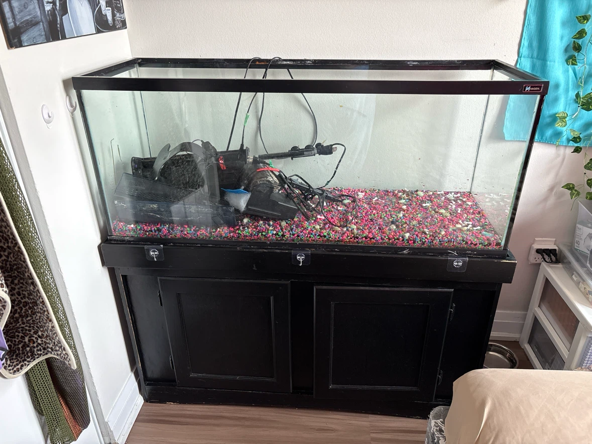 Large Aquarium with black Stand