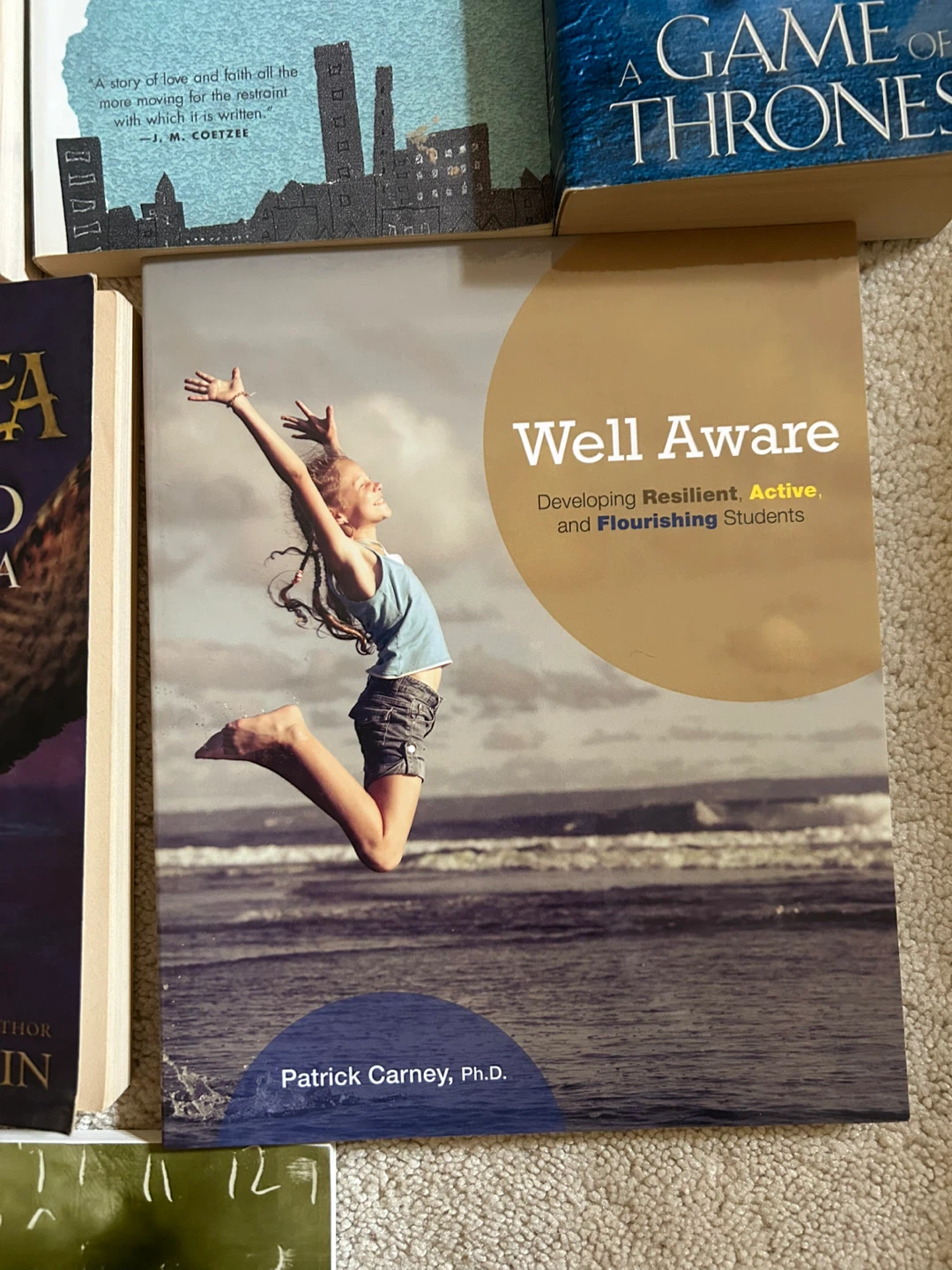 Assorted books - photo 5