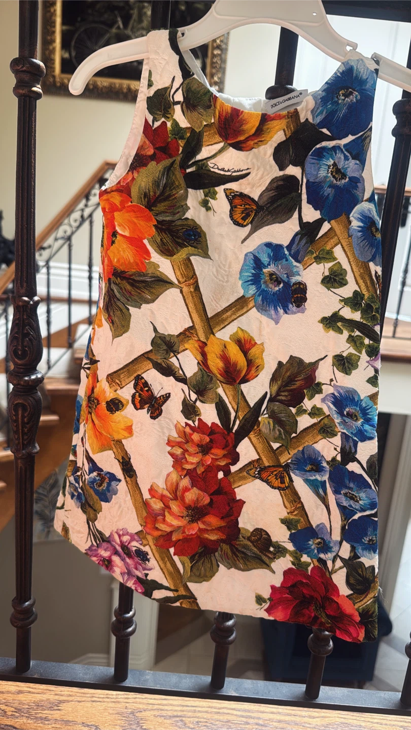 Dolce & Gabbana Floral Butterfly Dress