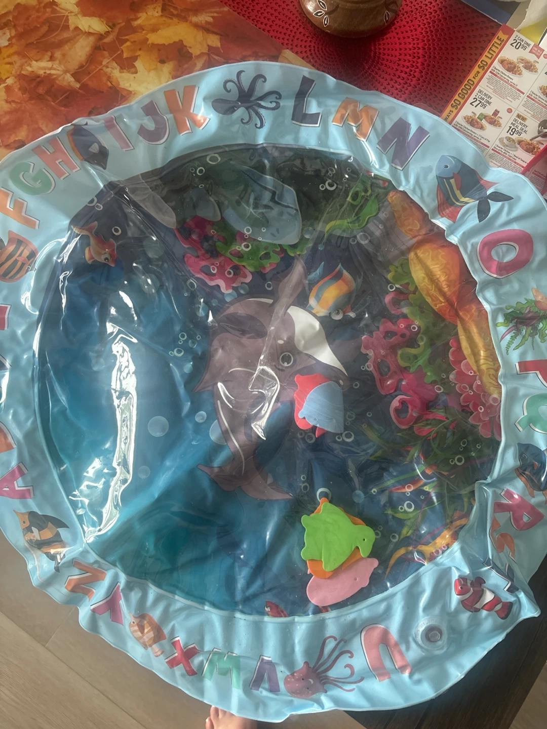 Cat toy