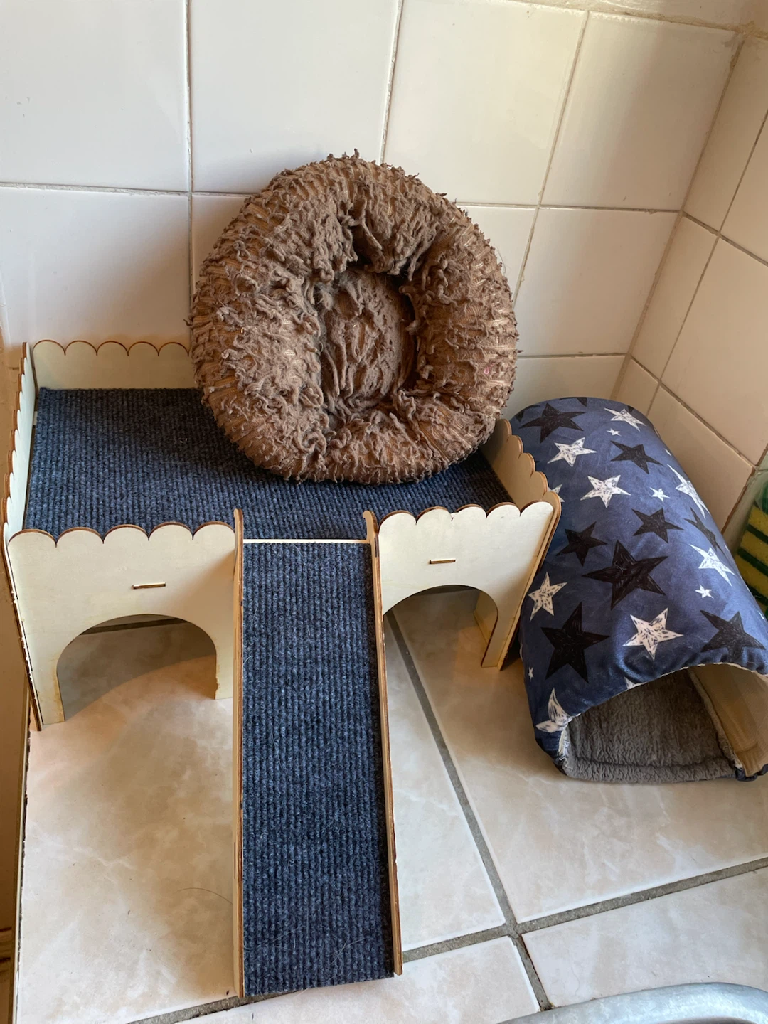 Guinea Pig Hides & Bed Lot