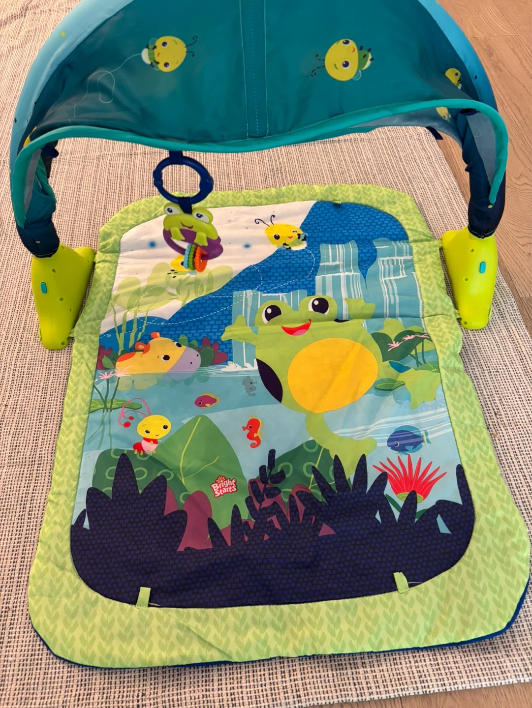 Bright Starts Activity Play Gym