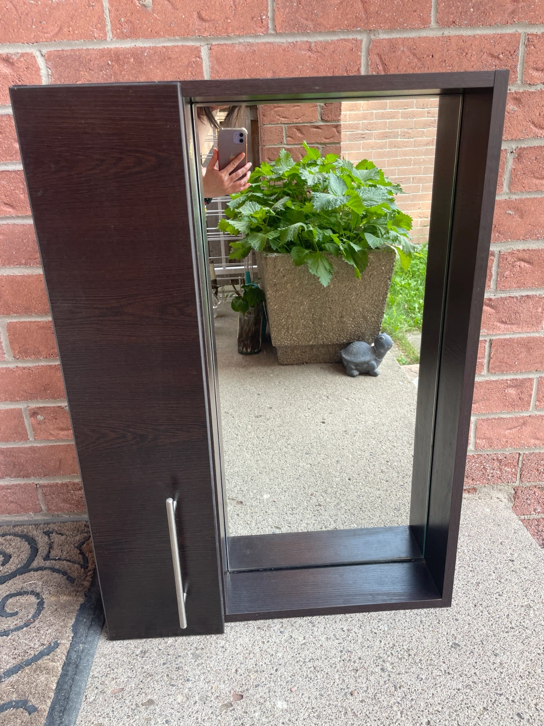 Medicine Cabinet with Mirror