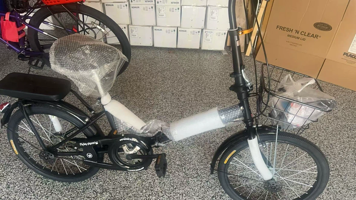 raven bike