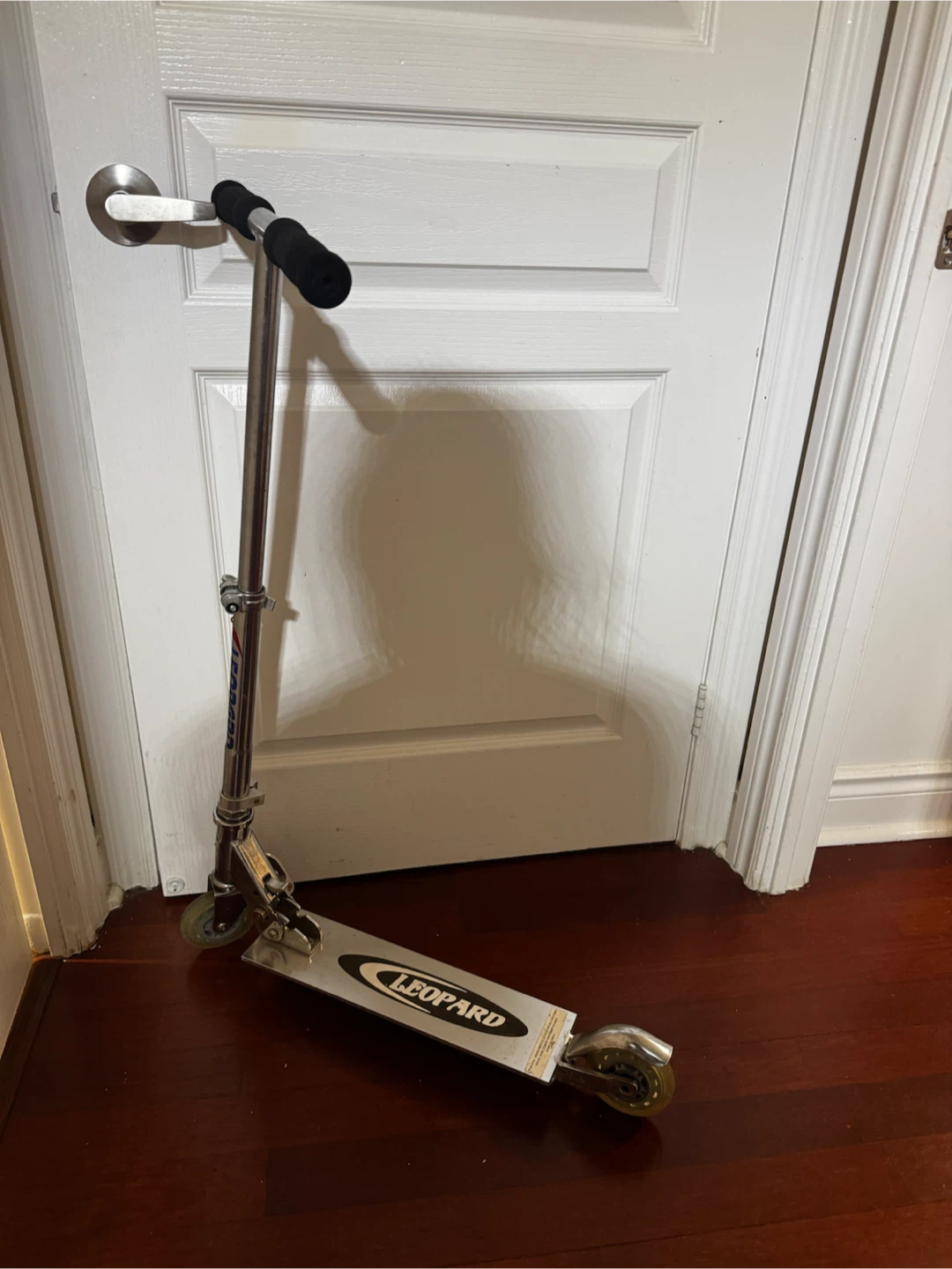 Leopard Scooter