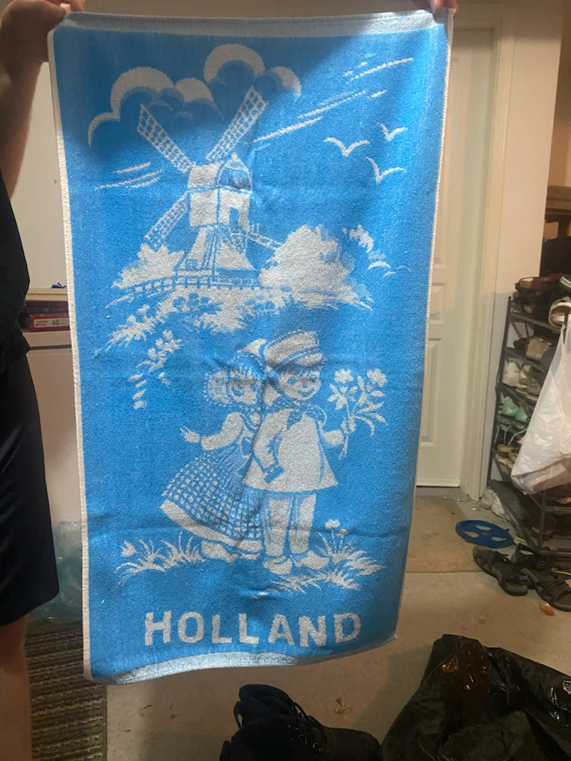 2 Vintage Dutch Scene Towels