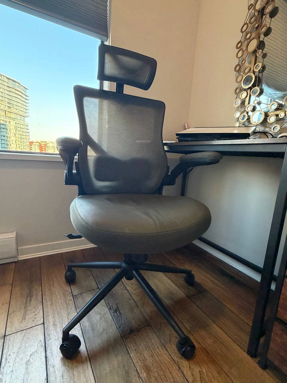Ergonomic Office Chair with Headrest
