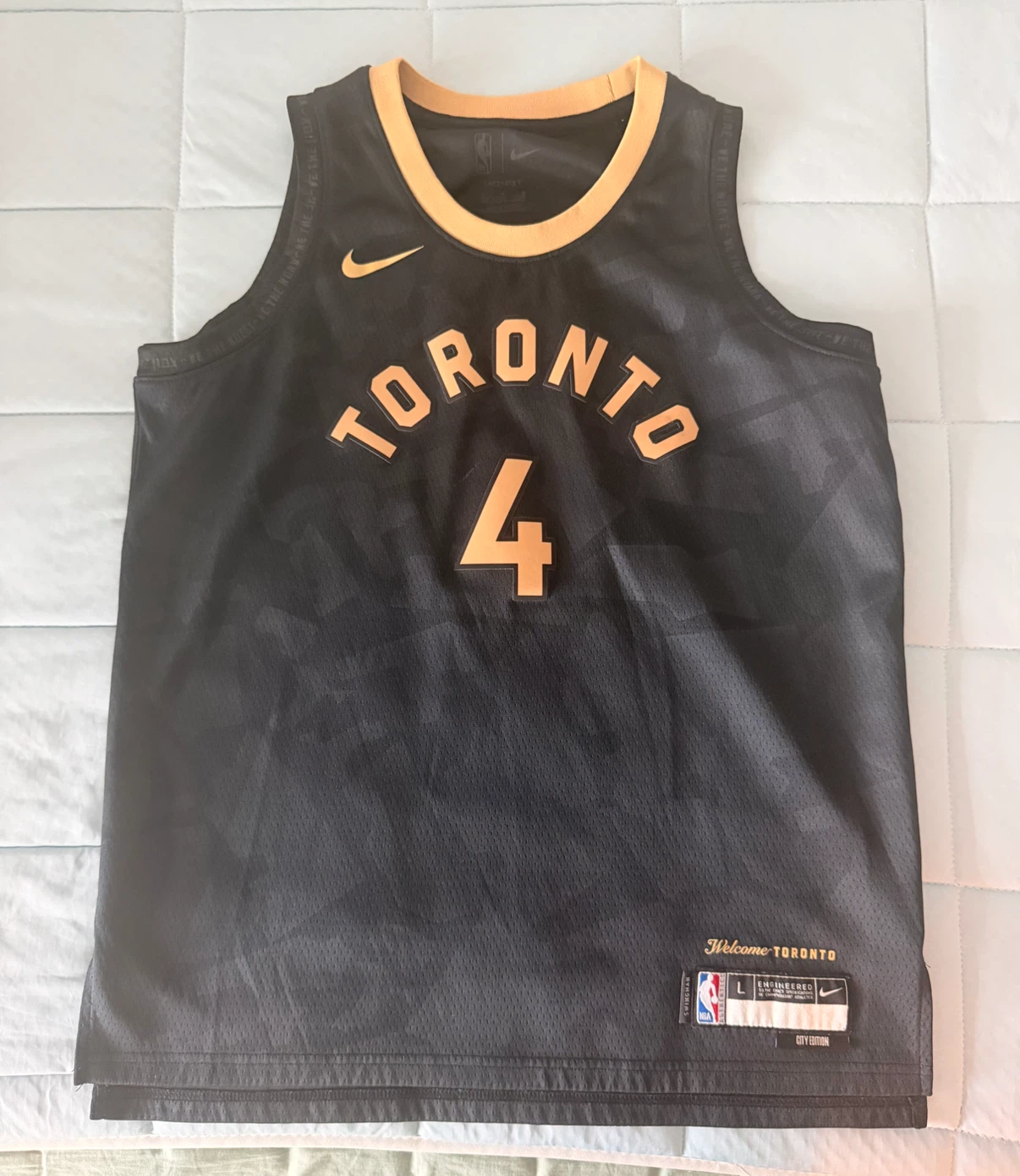 Youth Toronto Raptors Barnes Jersey Size L